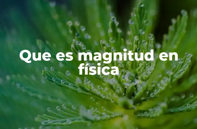 Que es Magnitud en Física