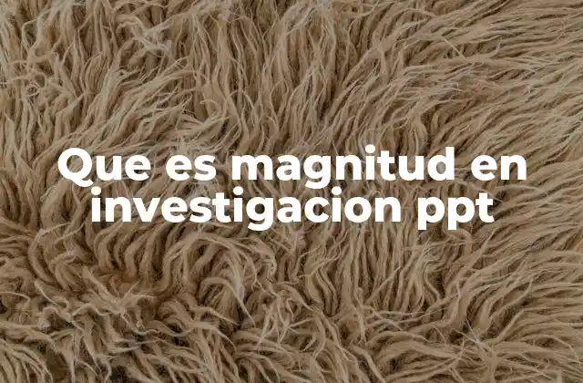 Que es Magnitud en Investigacion Ppt