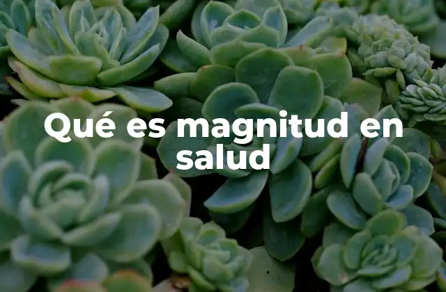Qué es Magnitud en Salud