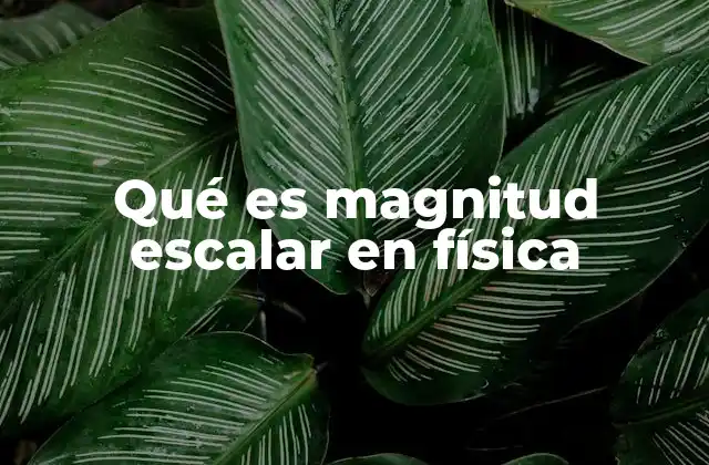 Qué es Magnitud Escalar en Física