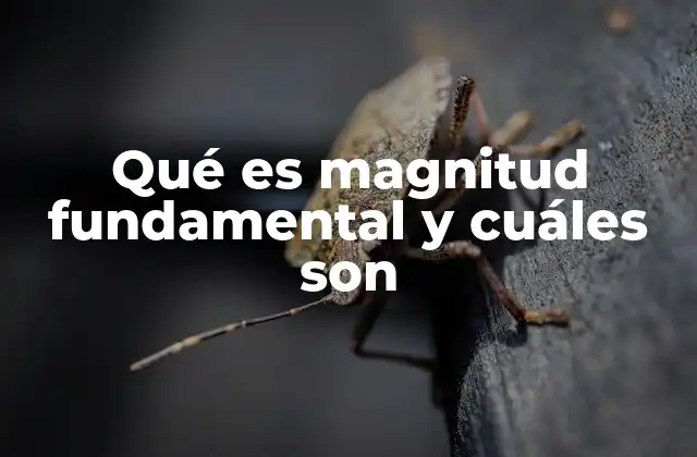 Qué es Magnitud Fundamental y Cuáles Son