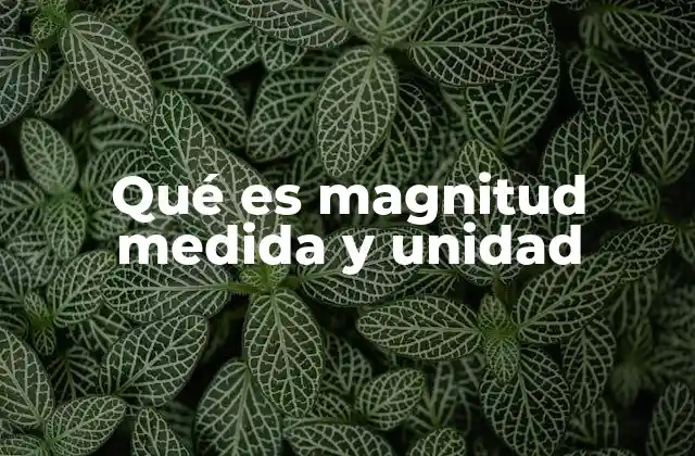 Qué es Magnitud Medida y Unidad