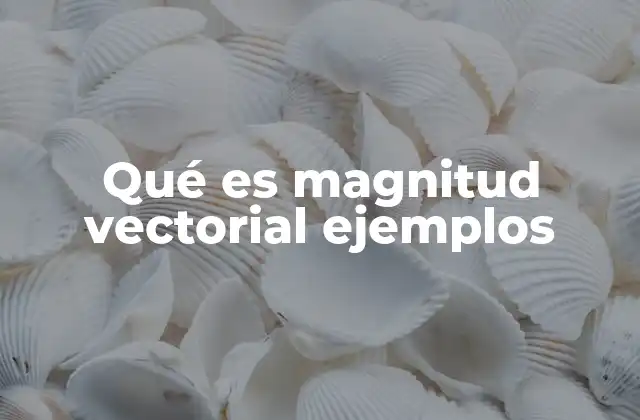 Qué es Magnitud Vectorial Ejemplos