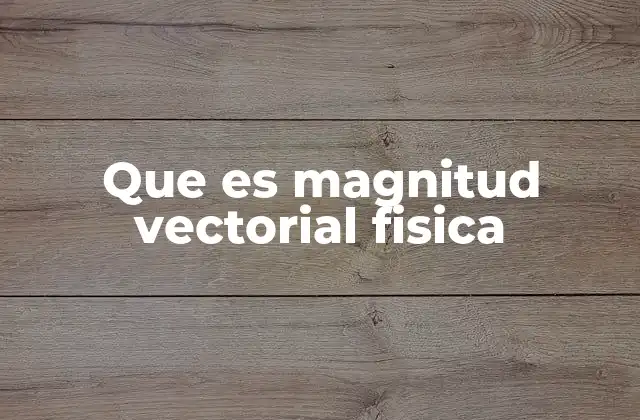 Que es Magnitud Vectorial Fisica