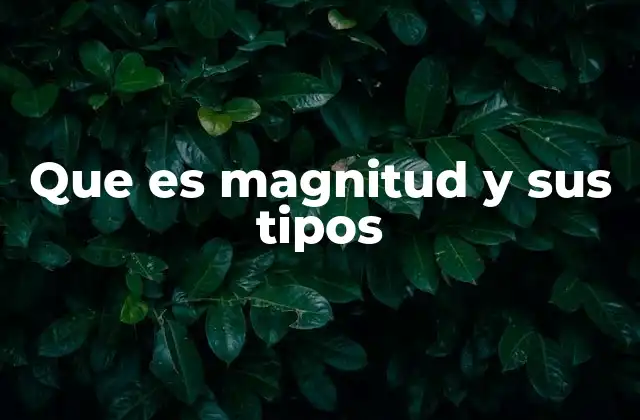 Que es Magnitud y Sus Tipos
