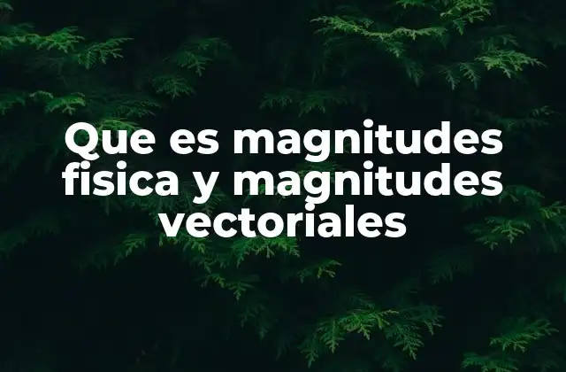 Que es Magnitudes Fisica y Magnitudes Vectoriales
