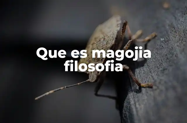 Que es Magojia Filosofia