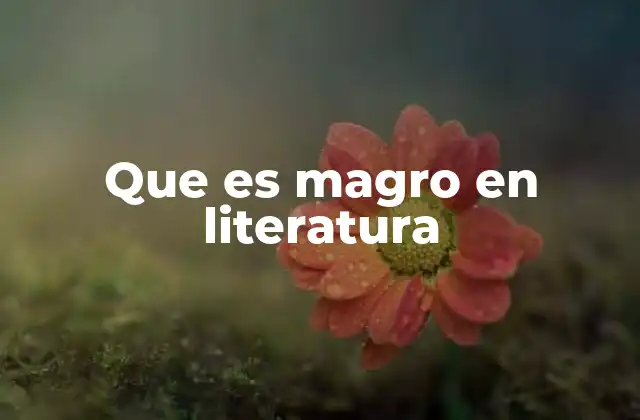 Que es Magro en Literatura 2 El impacto de la descripción física en la literatura