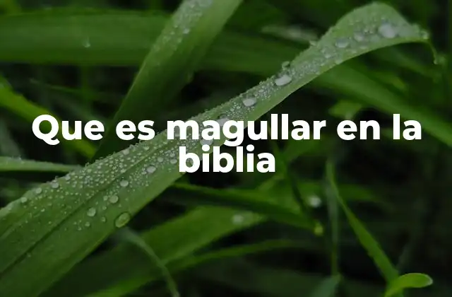 Que es Magullar en la Biblia 2 El sufrimiento como magulladura en la vida de los creyentes