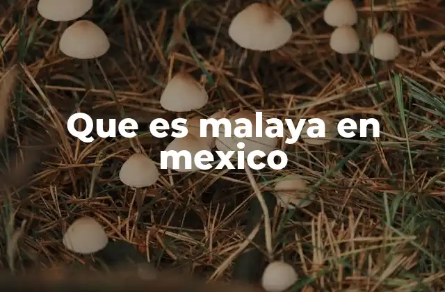 Que es Malaya en Mexico