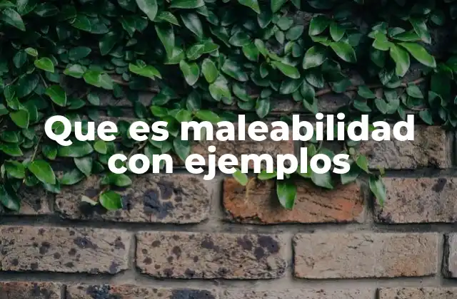 Que es Maleabilidad con Ejemplos