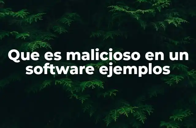 Que es Malicioso en un Software Ejemplos