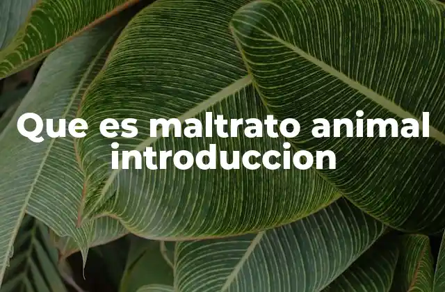 La importancia de entender el maltrato animal