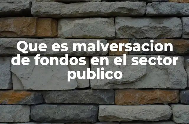 Que es Malversacion de Fondos en el Sector Publico
