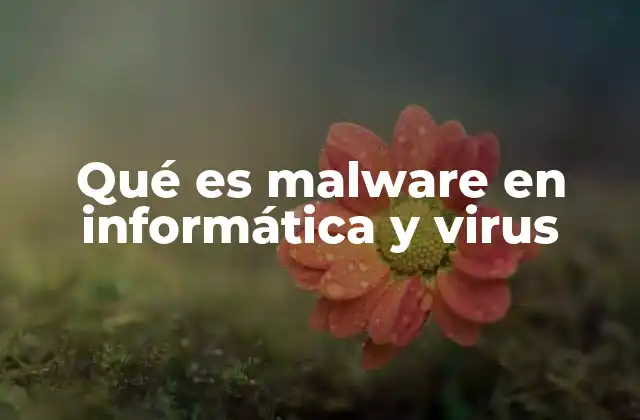Qué es Malware en Informática y Virus 2 Cómo el malware y los virus afectan la seguridad digital
