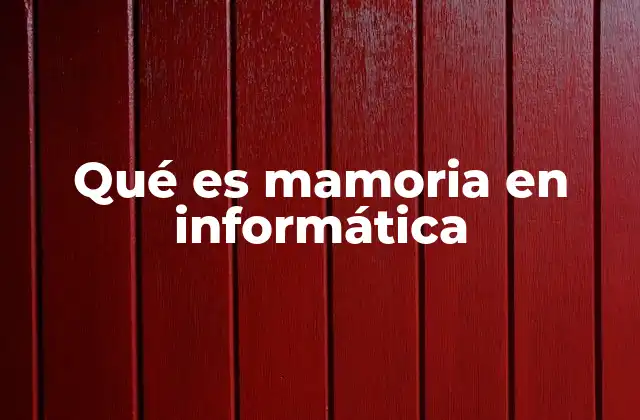 Qué es Mamoria en Informática