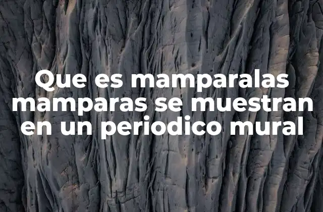 Que es Mamparalas Mamparas Se Muestran en un Periodico Mural