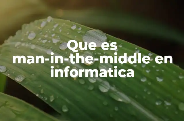 Que es Man-in-the-middle en Informatica