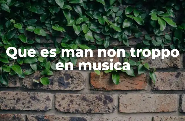 Que es Man Non Troppo en Musica