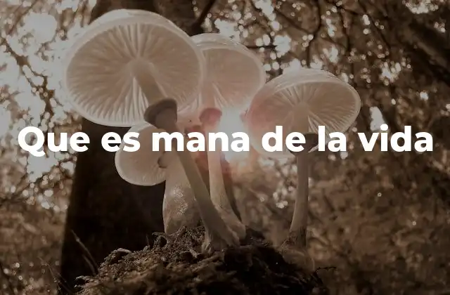 Que es Mana de la Vida
