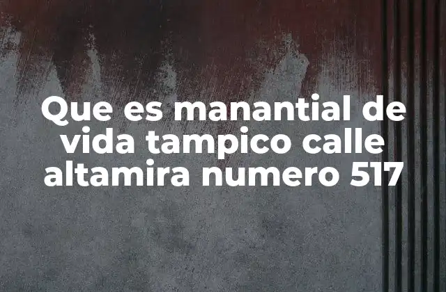Que es Manantial de Vida Tampico Calle Altamira Numero 517