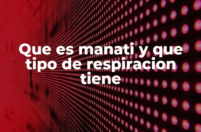 Que es Manati y que Tipo de Respiracion Tiene