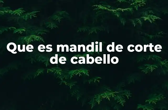Que es Mandil de Corte de Cabello