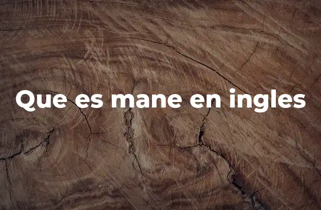 El uso de términos informales en el inglés moderno