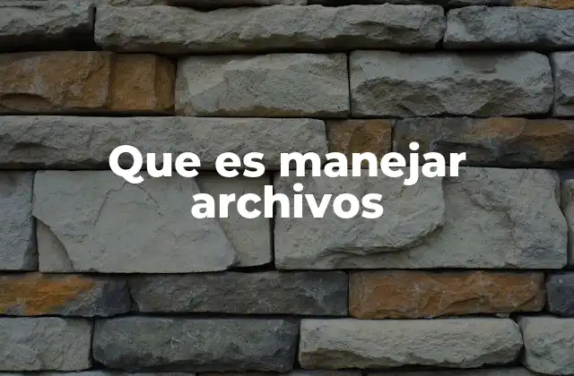 Que es Manejar Archivos