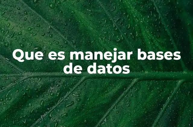 Que es Manejar Bases de Datos