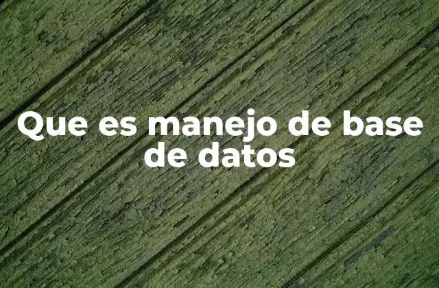 La importancia de la organización de datos en sistemas modernos