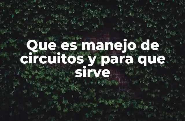 Que es Manejo de Circuitos y para que Sirve 2 La importancia del manejo de circuitos en la tecnología moderna