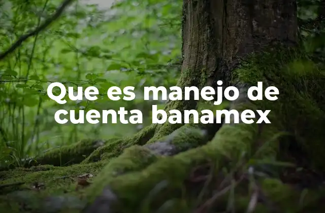 Que es Manejo de Cuenta Banamex