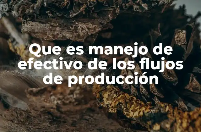 Que es Manejo de Efectivo de los Flujos de Producción 2 La relación entre producción y liquidez