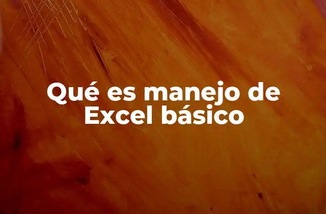 Qué es Manejo de Excel Básico