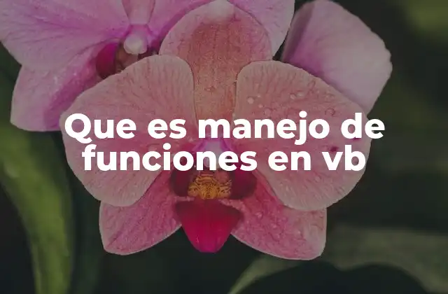 Que es Manejo de Funciones en Vb