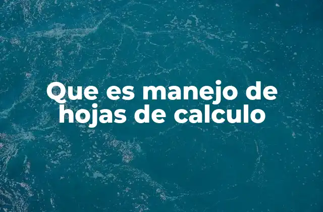 Que es Manejo de Hojas de Calculo