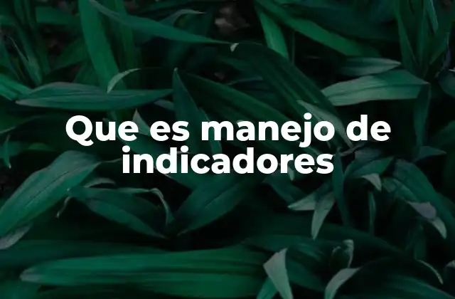 Que es Manejo de Indicadores