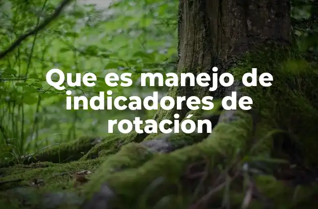 Que es Manejo de Indicadores de Rotación