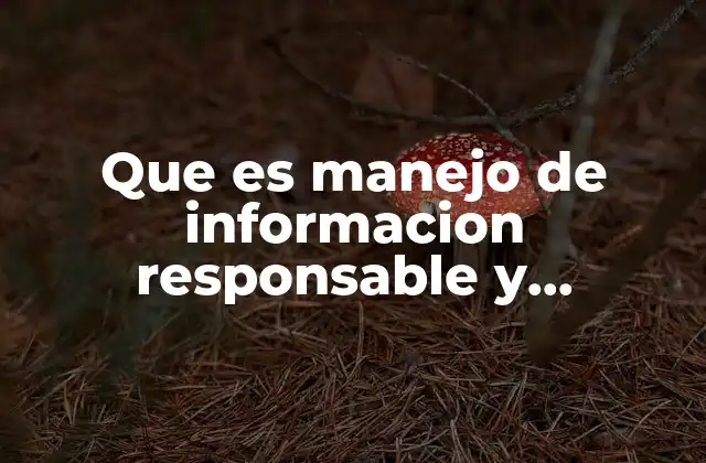 Que es Manejo de Informacion Responsable y Seguridad