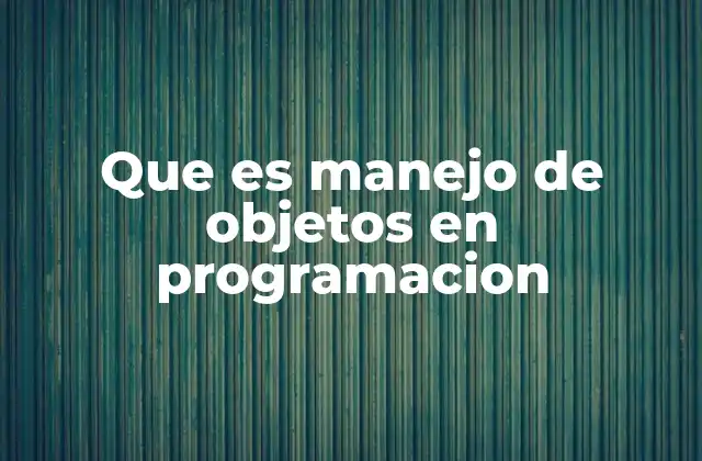 Que es Manejo de Objetos en Programacion
