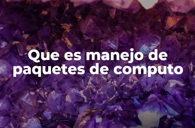 Que es Manejo de Paquetes de Computo