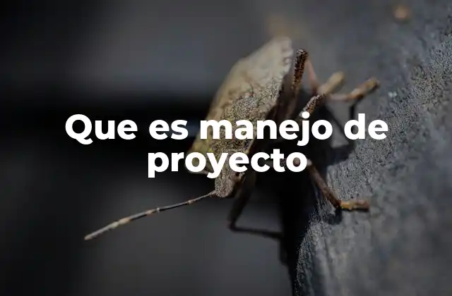 Que es Manejo de Proyecto