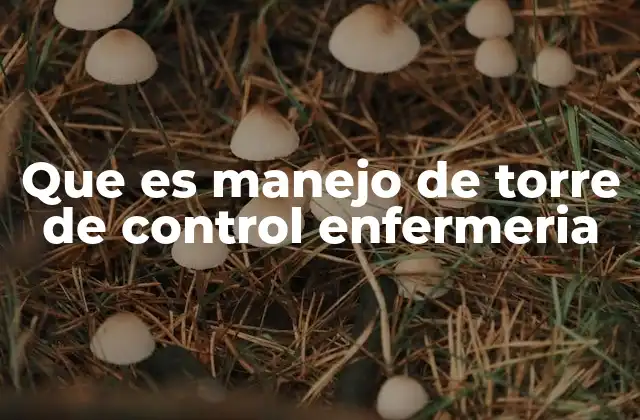 Que es Manejo de Torre de Control Enfermeria