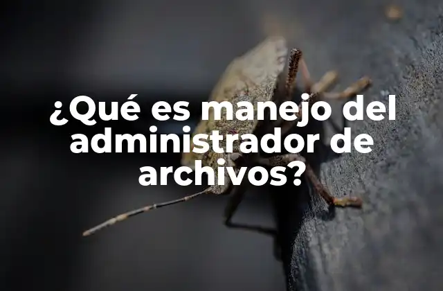 ¿qué es Manejo Del Administrador de Archivos?