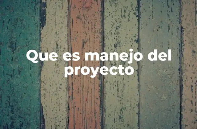 Que es Manejo Del Proyecto
