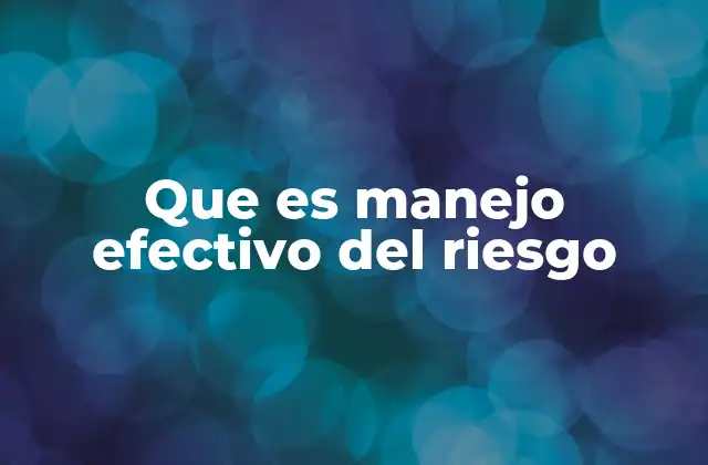 Que es Manejo Efectivo Del Riesgo