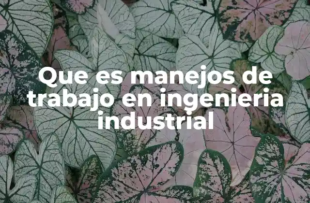 Que es Manejos de Trabajo en Ingenieria Industrial