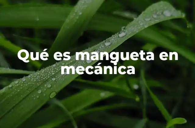 Qué es Mangueta en Mecánica