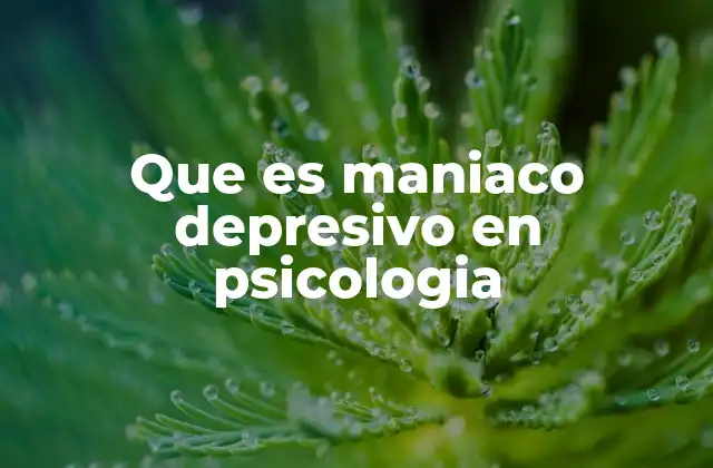 Que es Maniaco Depresivo en Psicologia